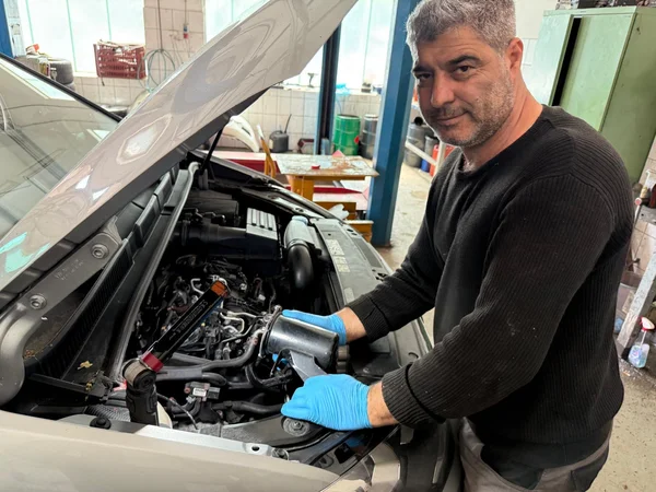 Sachverständiger DMLI